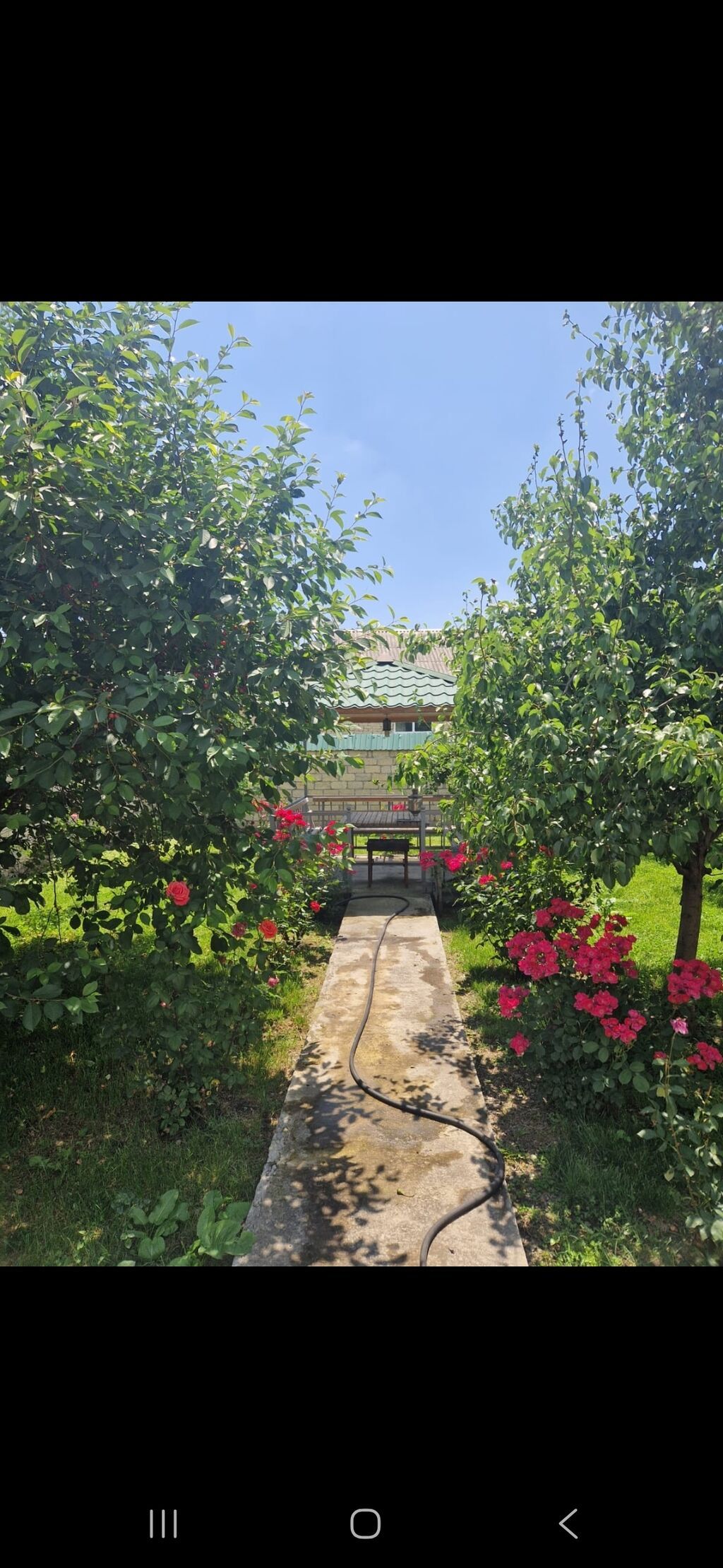 3 otaqlı, 115 kv. m, Yeni təmirli