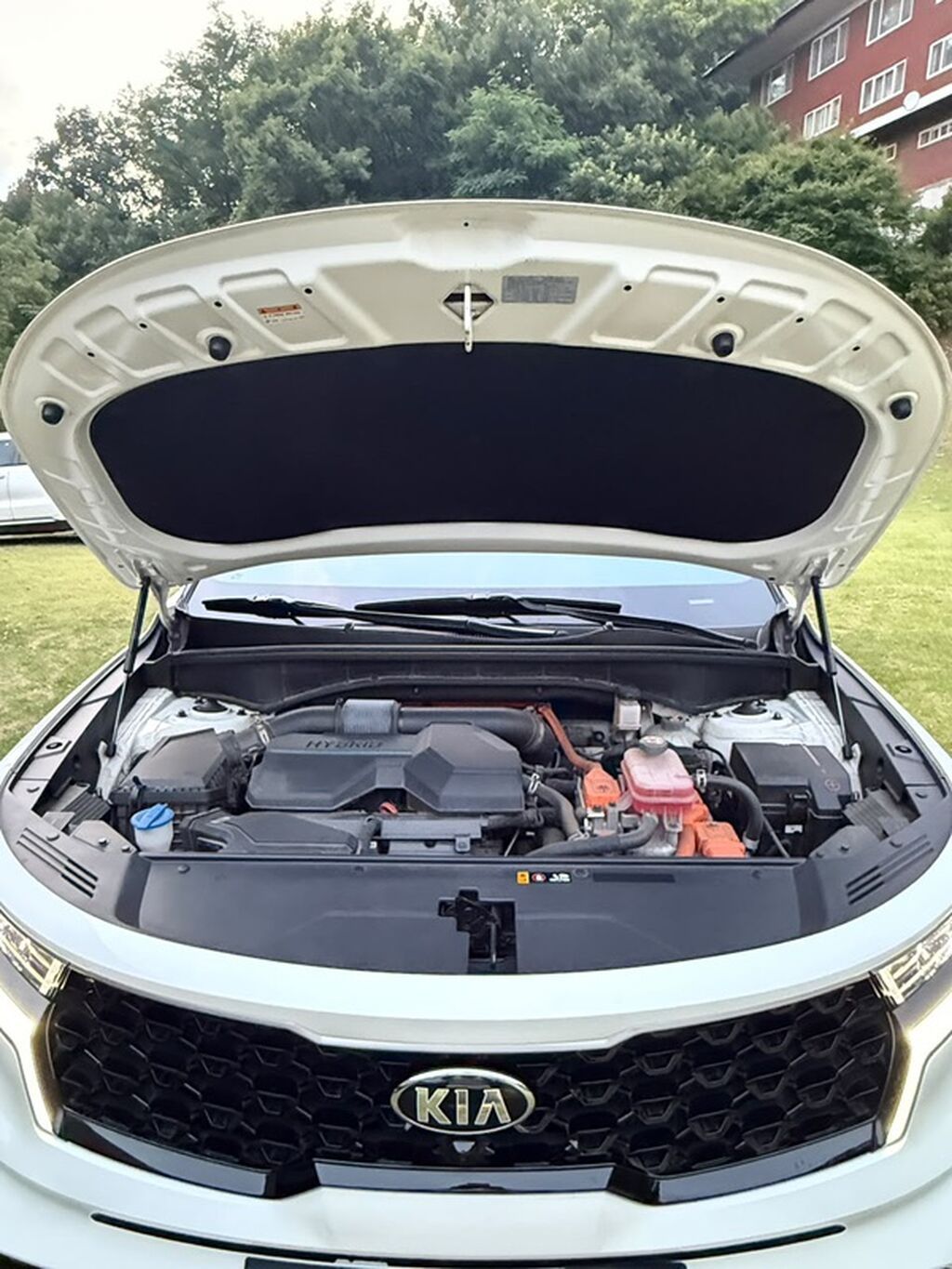 Kia Sorento: 2020 г., 1.6 л, Автомат, Гибрид, Кроссовер: фото 5