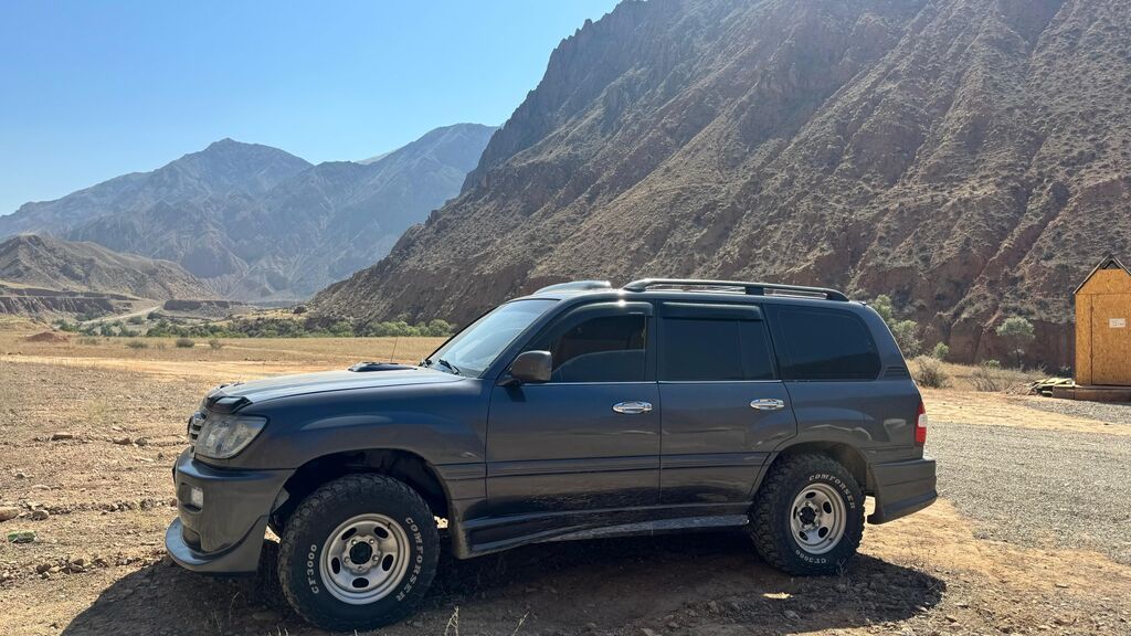 Toyota Land Cruiser: 2002 г., 4.2 л, Дизель, Внедорожник: фото 3