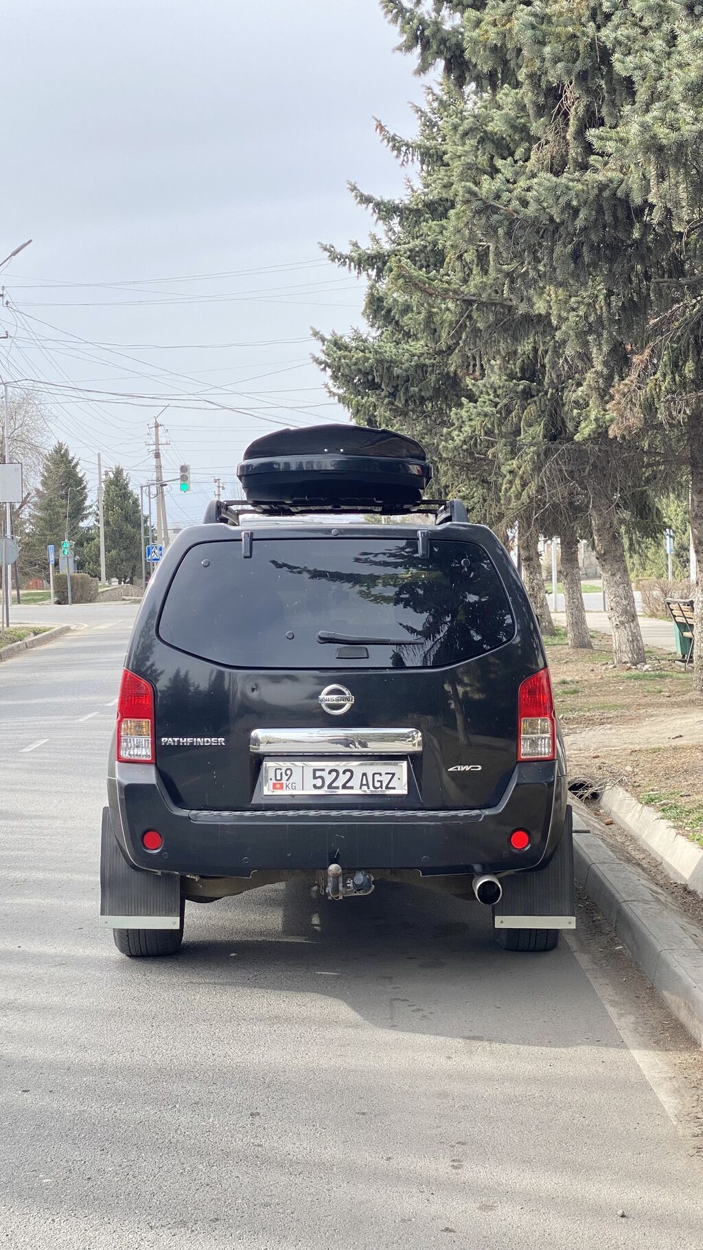 Nissan Pathfinder: 2005 г., 2.9 л, Механика, Дизель, Внедорожник: фото 6