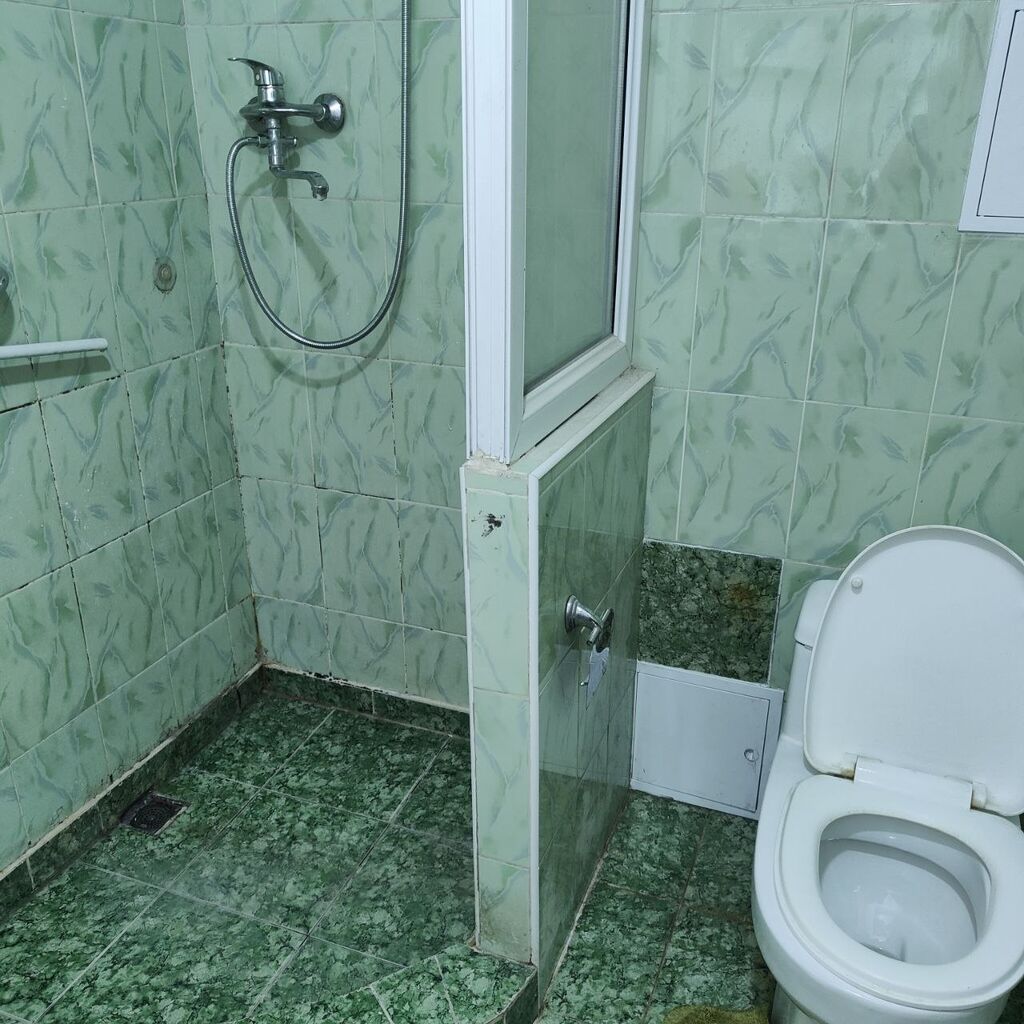 Продается жилой дом с двором и хозяйственными постройками. На участке: фото 7