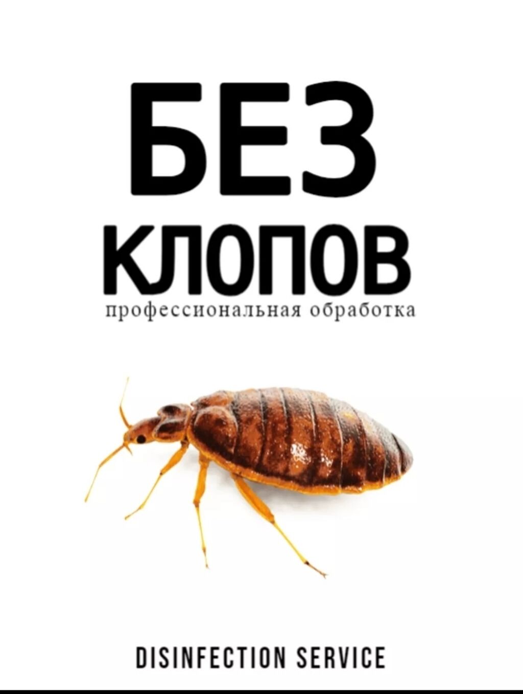 Профессиональное уничтожение клопов Обработка по: 2000 KGS ᐈ Дезинфекция,  дезинсекция | Бишкек | 34772216 ➤ lalafo.kg