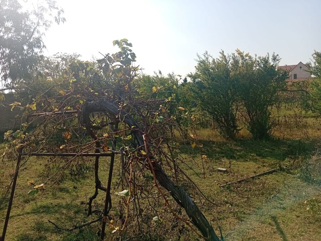 12 sot, Tikinti, Mülkiyyətçi, Kupça (Çıxarış)