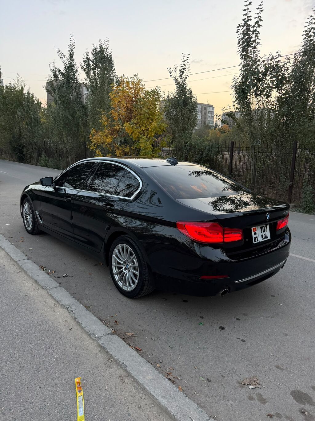 BMW 5 series: 2019 г., 2 л, Автомат, Бензин, Седан: фото 8
