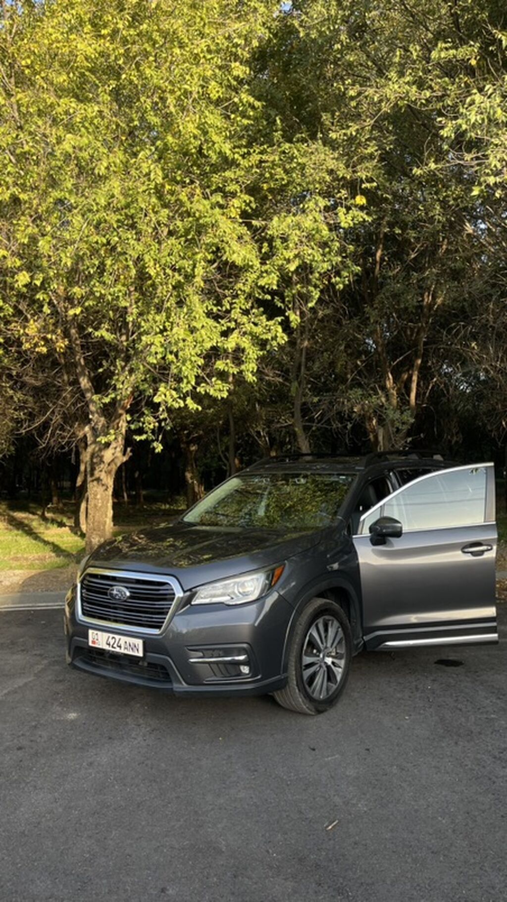 Subaru Ascent: 2019 г., 2.4 л, Вариатор, Бензин, Кроссовер: фото 3