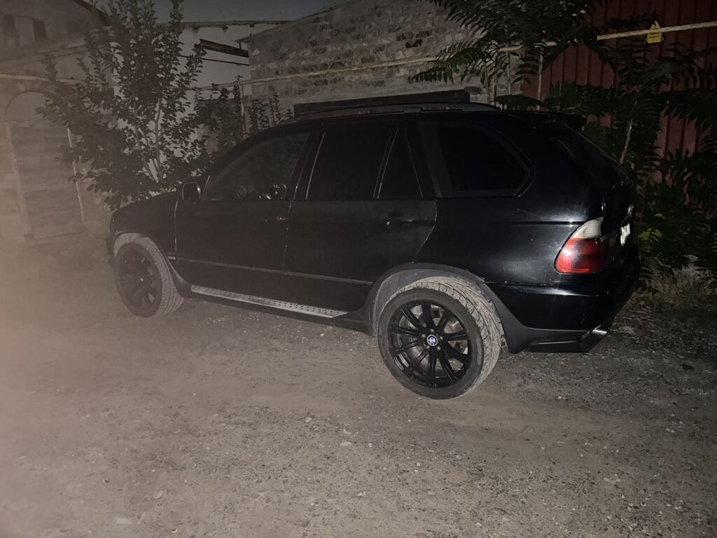 BMW X5: 2002 г., 3 л, Автомат, Дизель, Кроссовер: фото 3