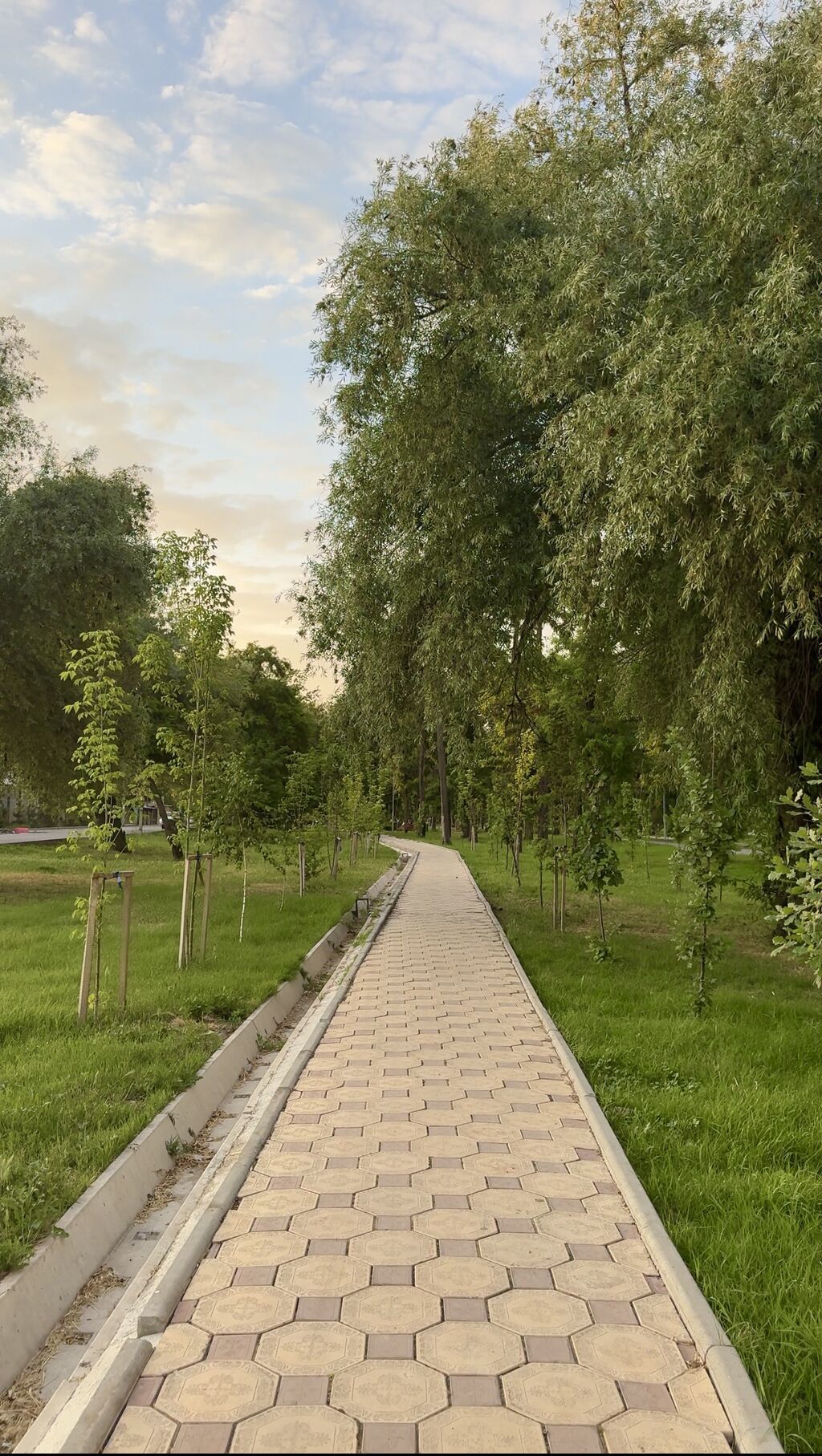 1 комната, 42 м², Элитка, 1 этаж, Свежий ремонт: фото 8