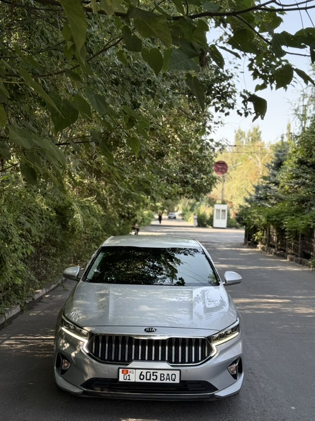 Kia K7: 2019 г., 3 л, Автомат, Газ, Седан: фото 2