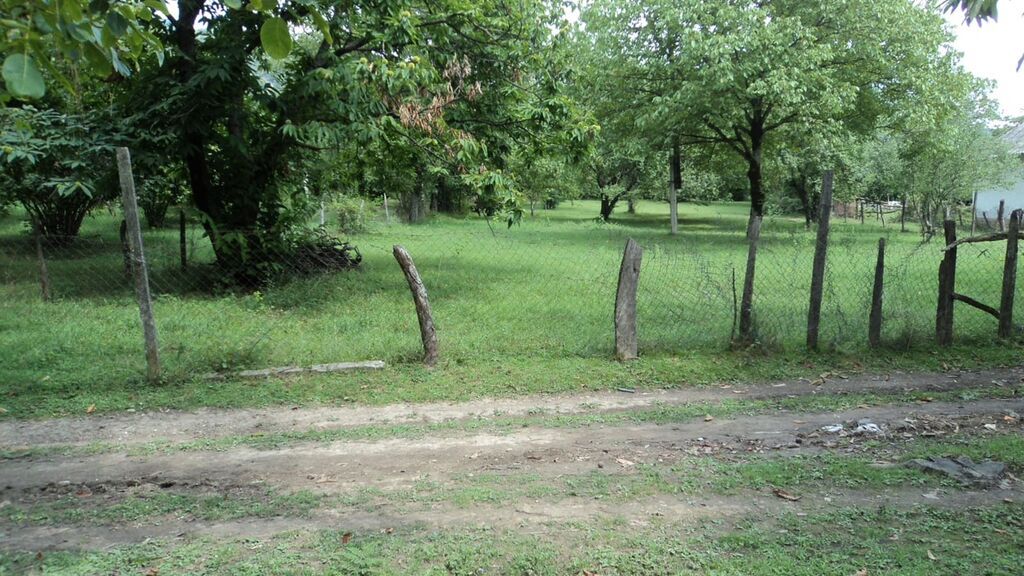 17 sot, Tikinti, Mülkiyyətçi, Kupça (Çıxarış)