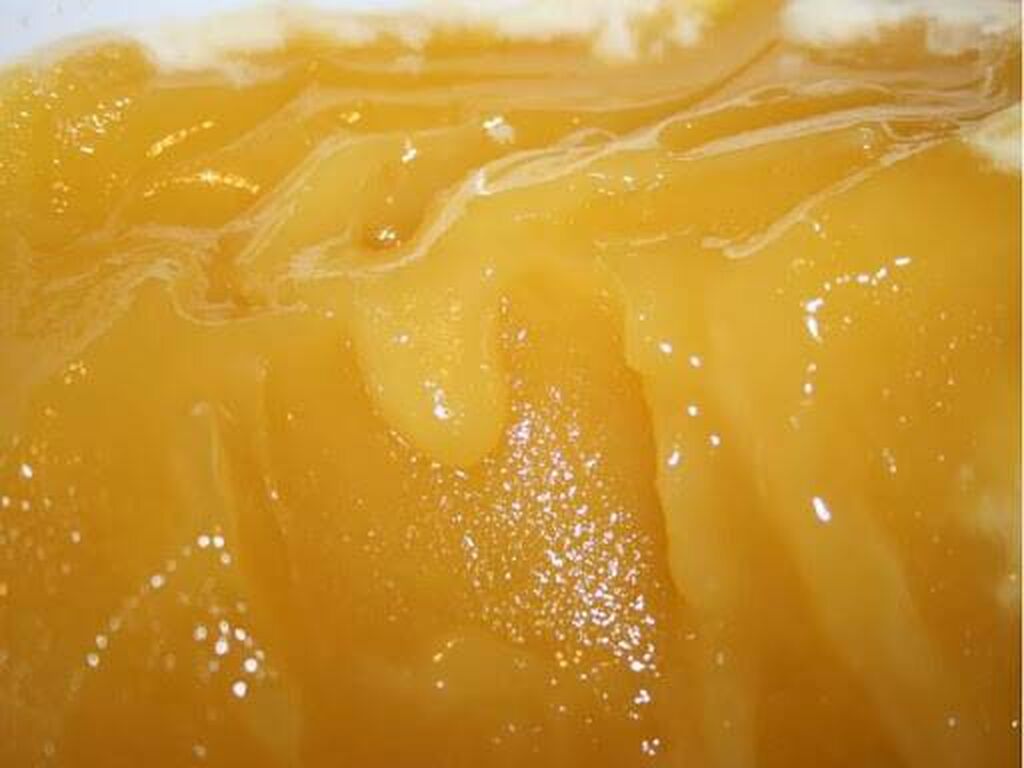 Почему мед не кристаллизуется. Мед разнотравье горный 3л. Липовый мед кристаллизованный. Мёд подсолнечный засахаренный. Мёд разнотравье засахаренный.