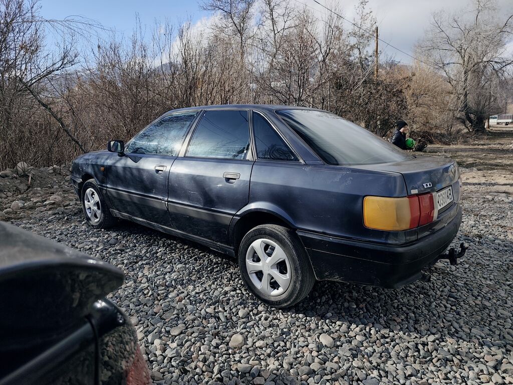 Audi 100