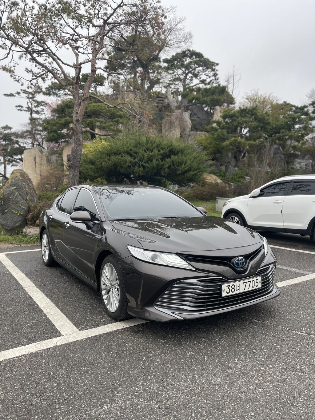 Японская камри 80. Тойота камри в японии. camry japan. тойота камри япония нови.