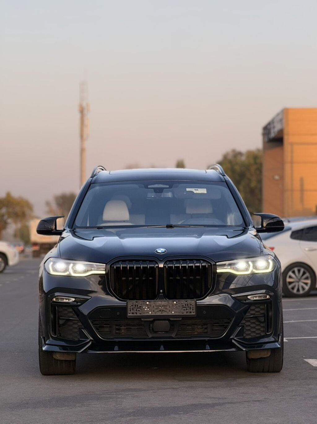 BMW X7: 2019 г., 3 л, Автомат, Бензин, Внедорожник: фото 6