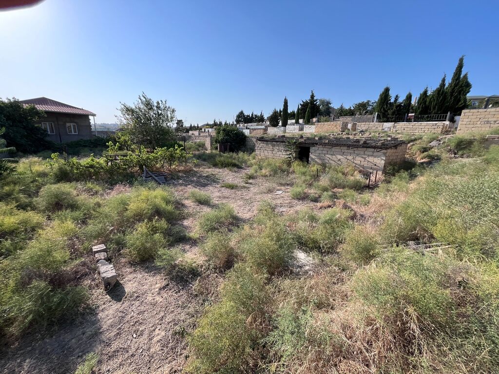 4 sot, Tikinti, Kupça (Çıxarış)