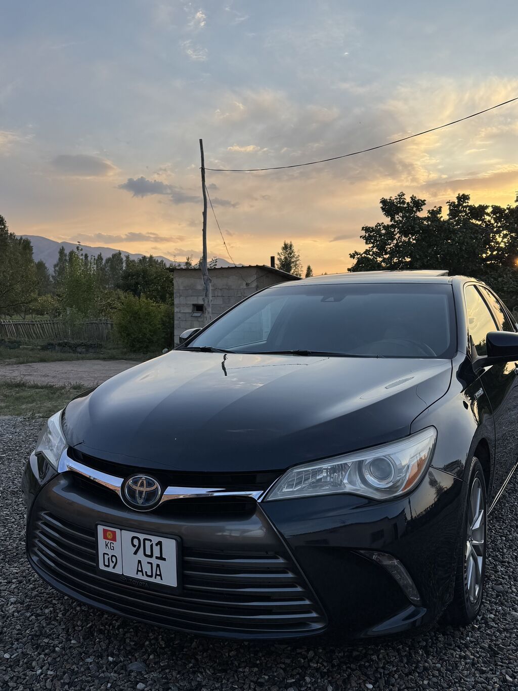 Фото 3