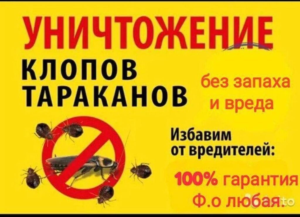 Дезинфекция, дезинсекция, | Клопы, Блохи, Тараканы, | Транспорт, Офисы, Квартиры: фото 7