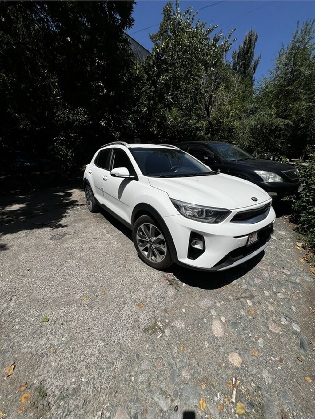 Kia Stonic: 2019 г., 1.4 л, Автомат, Бензин, Хэтчбэк: фото 2