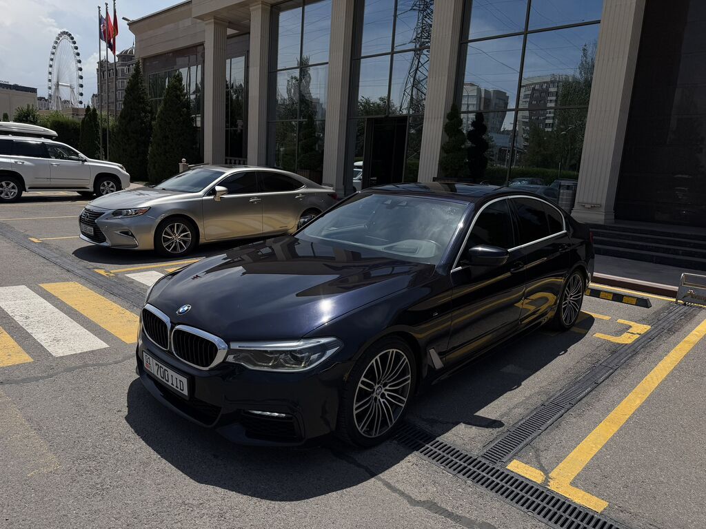 BMW 5 series: 2019 г., 2 л, Автомат: фото 1