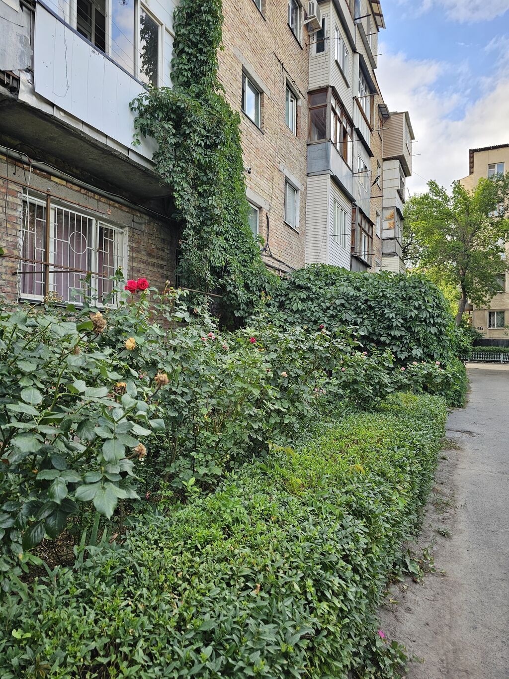 2 комнаты, 46 м², Индивидуалка, 1 этаж, Свежий ремонт
