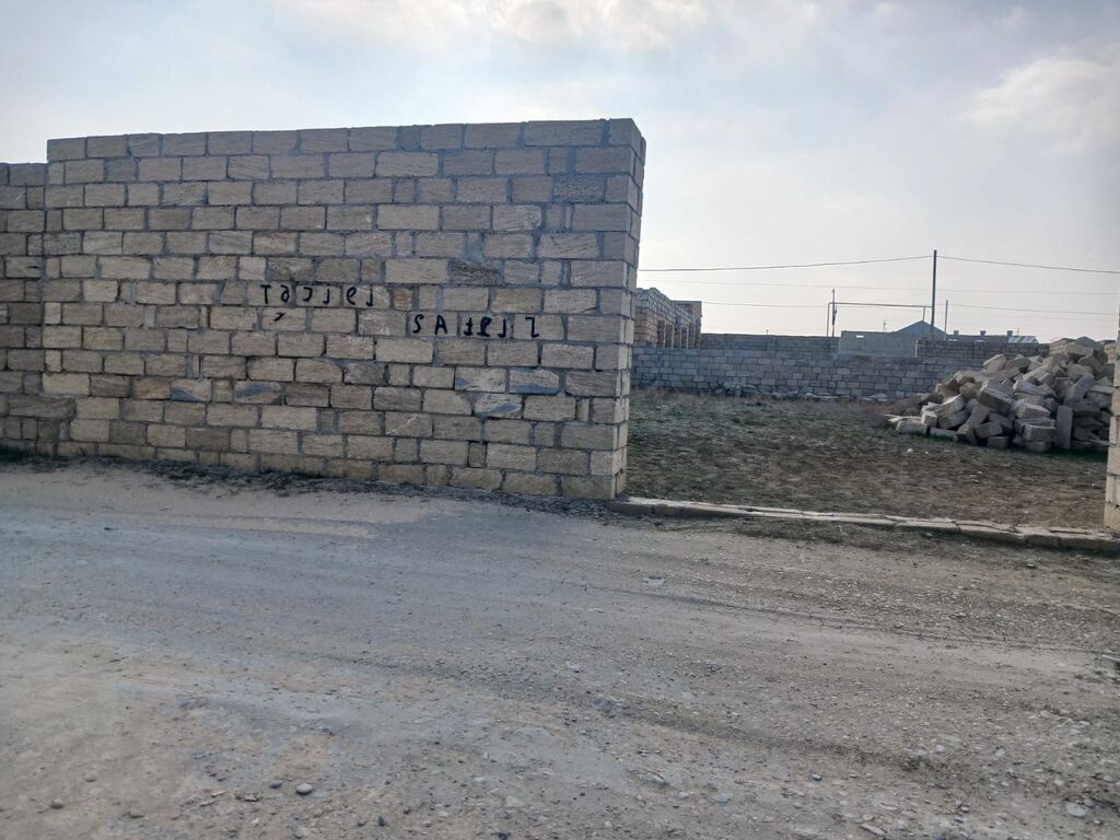 Tikinti