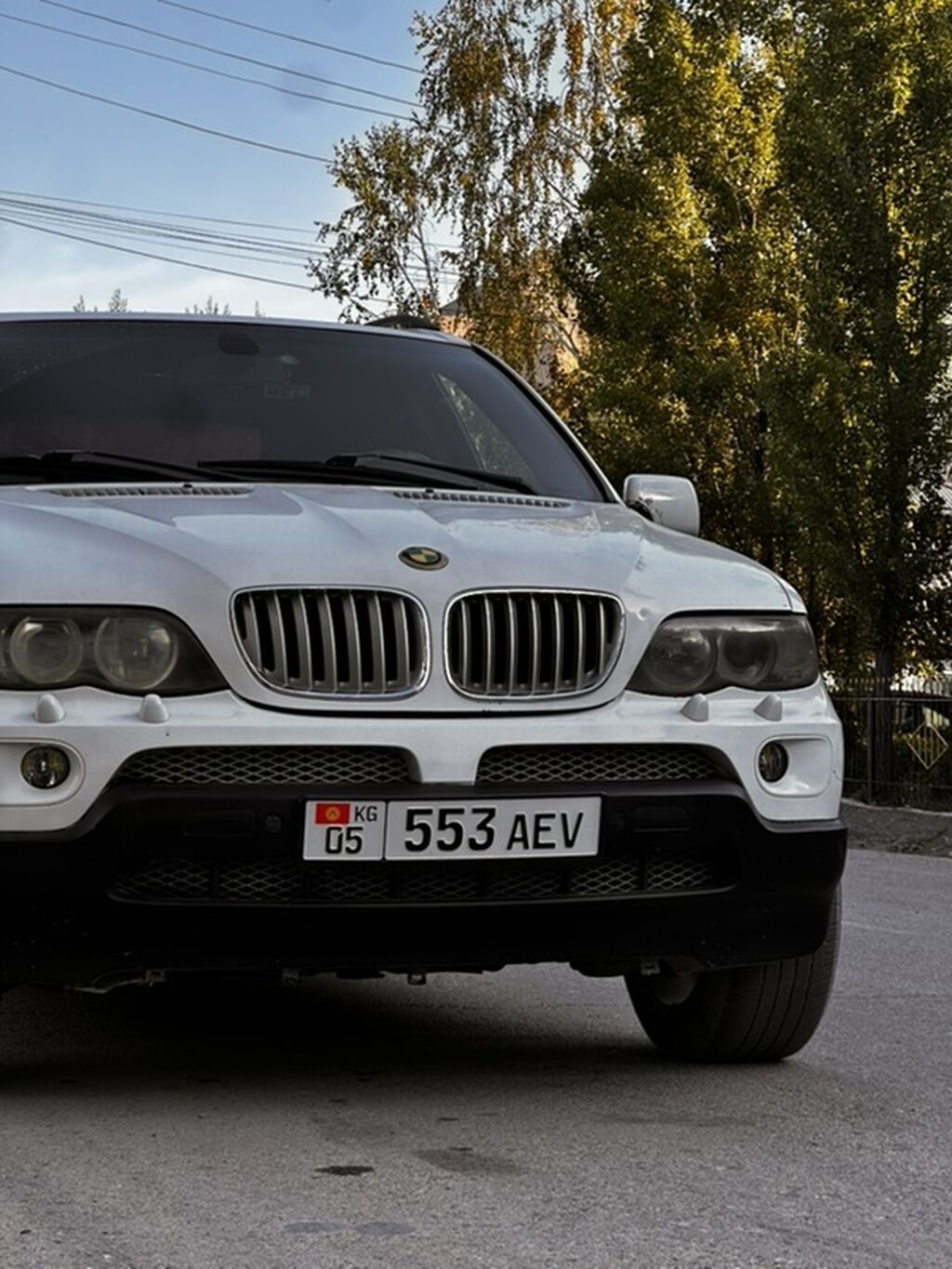 BMW X5: 2004 г., 4.4 л, Автомат, Бензин, Кроссовер: фото 4