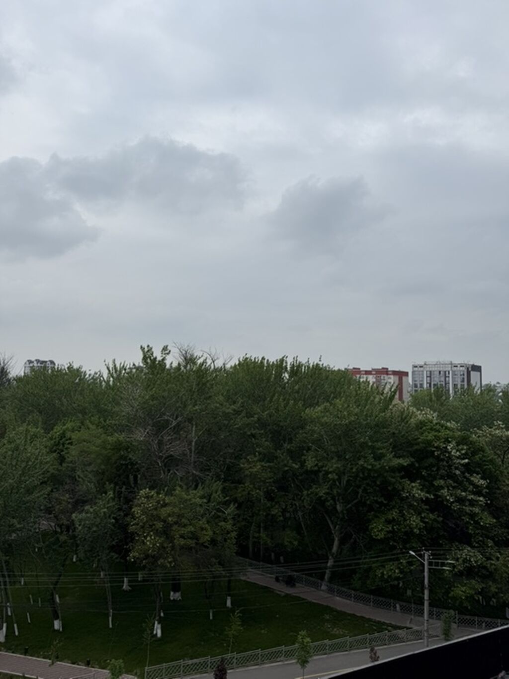 Сдается Посуточно: фото 3