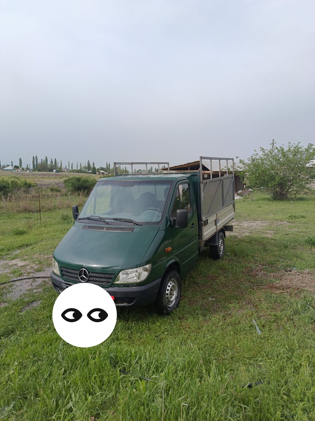 Mercedes-Benz Спринтер: 2003 г., 2.9 л, Механика, Дизель, Пикап: фото 2