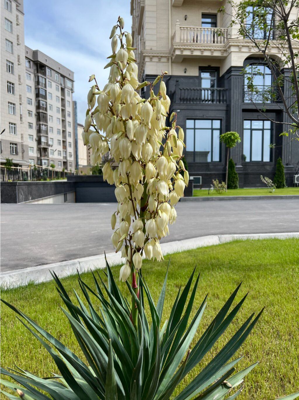 Продам 4-комнатную квартиру 148 м² в ЖК Central Park: фото 3