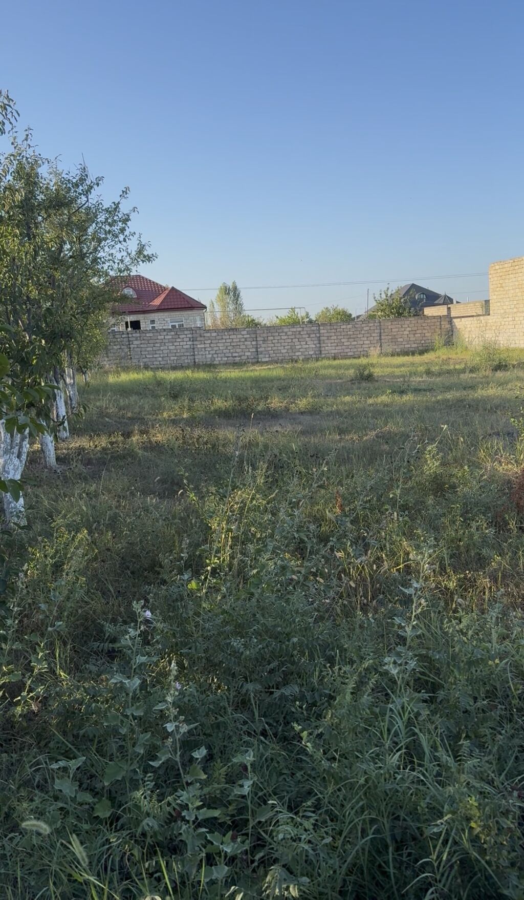 12 sot, Tikinti, Mülkiyyətçi, Bələdiyyə