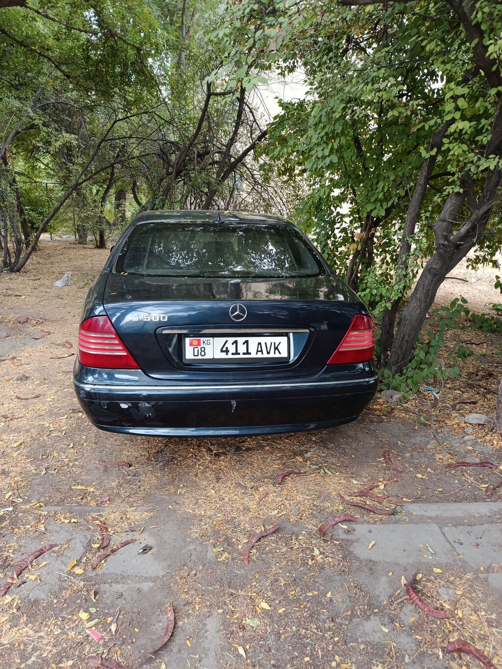 Mercedes-Benz S-Class: 2001 г., 5 л, Автомат, Бензин, Седан: фото 5