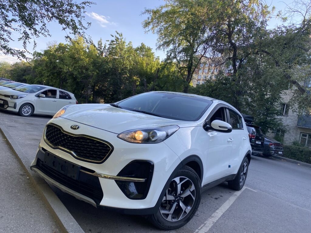 Kia Sportage: 2019 г., 2 л, Автомат, Дизель, Кроссовер — фото 1