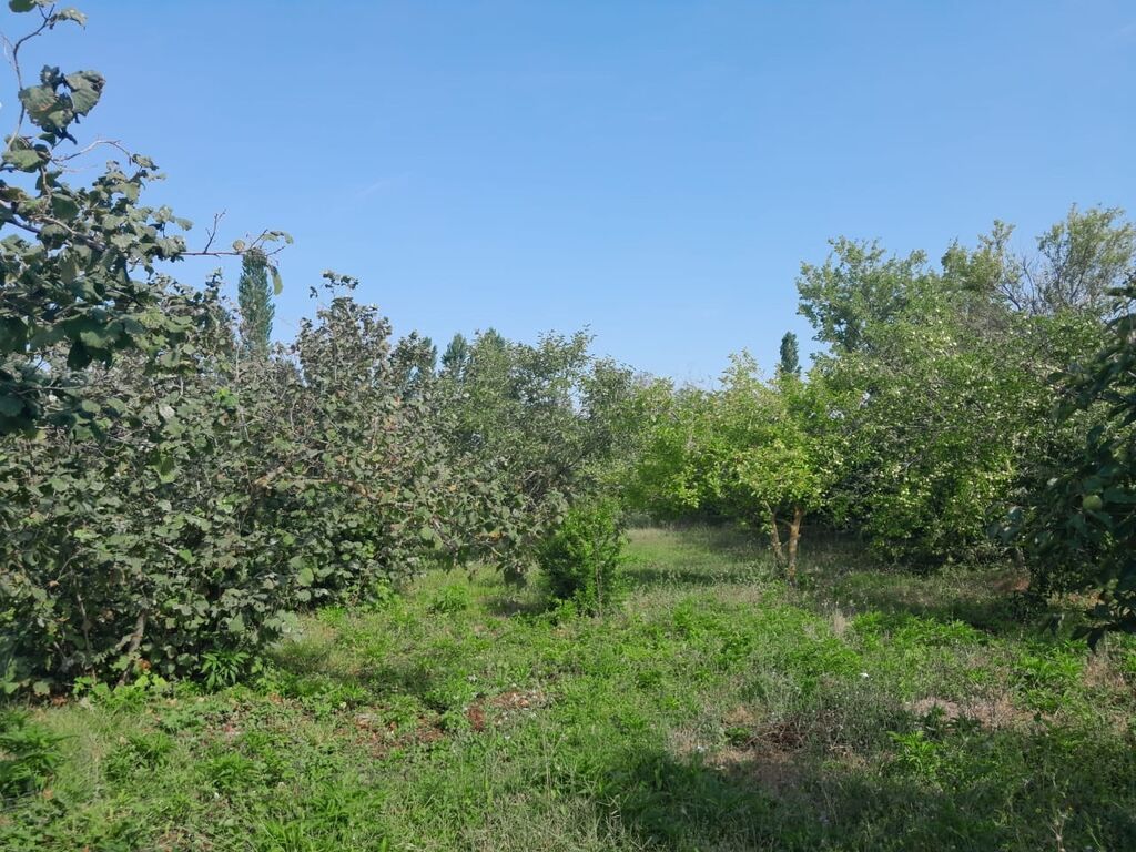 4 otaqlı, 130 kv. m, Kredit yoxdur, Orta təmir
