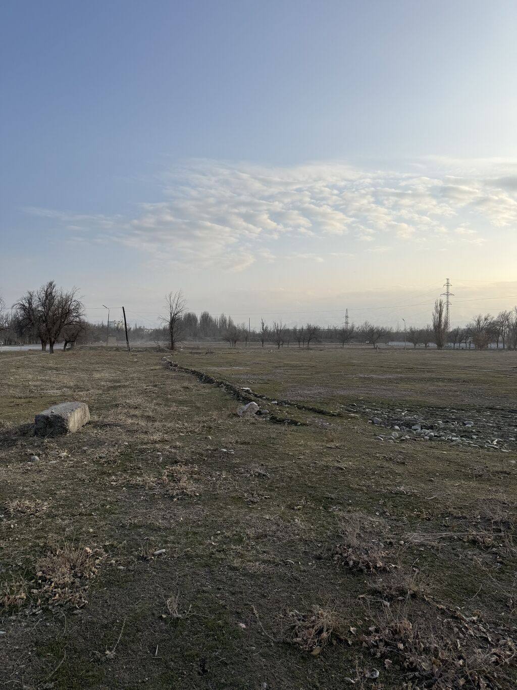 280 соток, Красная книга: фото 1