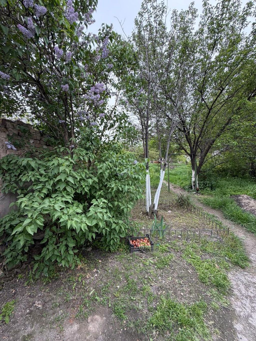 2 комнаты, 50 м², 9 соток, Бишкек, Новопавловка с. Риэлтор: фото 2