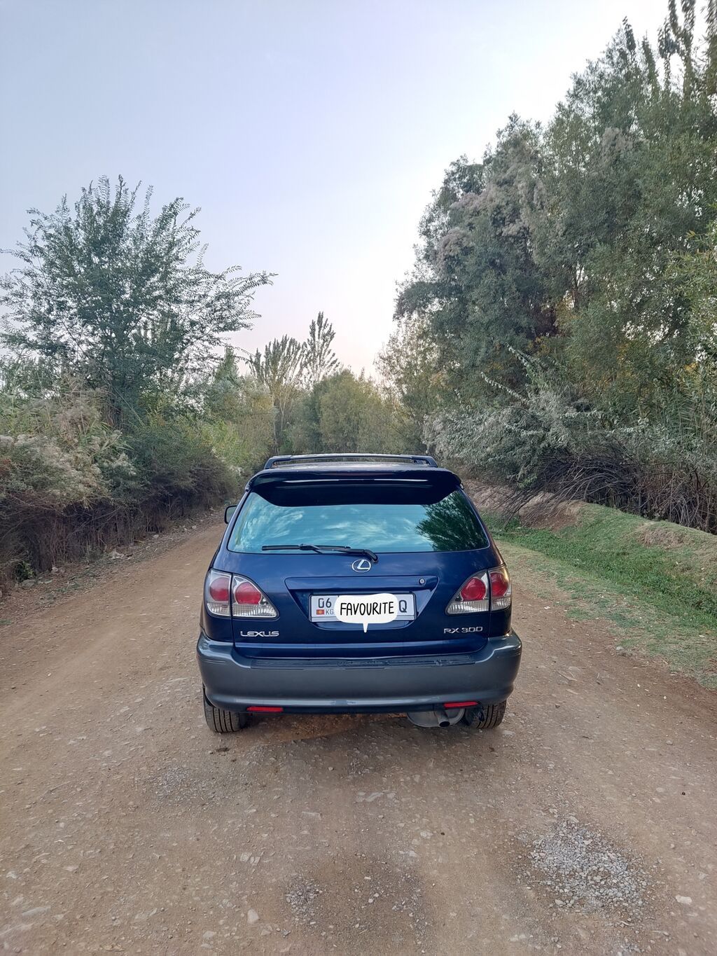 Lexus RX: 2001 г., 3 л, Автомат, Бензин, Кроссовер: фото 4