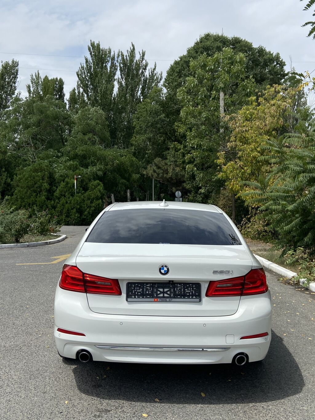 BMW 5 series: 2019 г., 2 л, Автомат, Бензин, Седан: фото 3