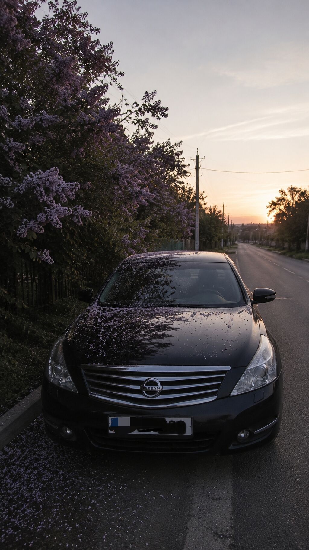 Nissan Teana: 2010 г., 3.5 л, Вариатор, Бензин, Седан: фото 2