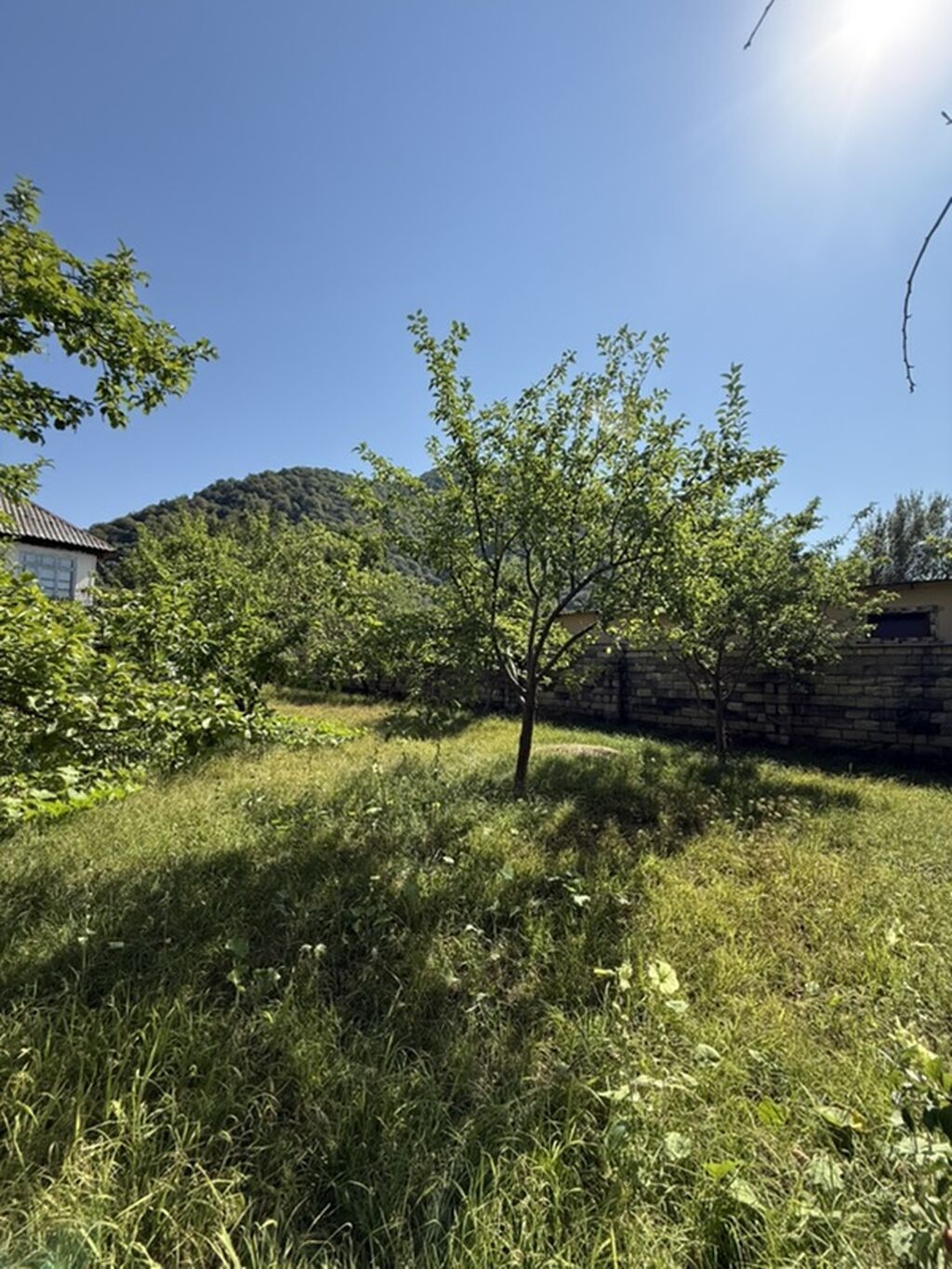 3 sot, Tikinti