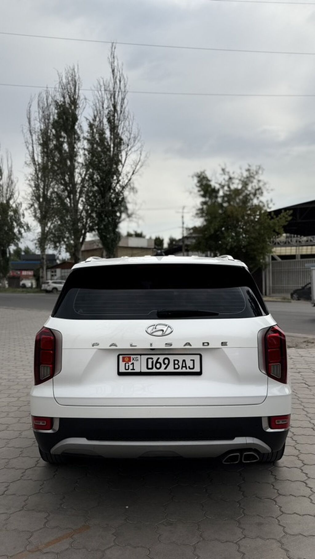 Hyundai Palisade: 2019 г., 2.2 л, Автомат, Дизель, Кроссовер — фото 3