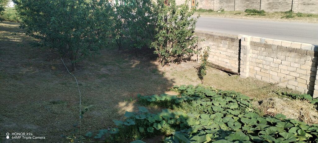 10 sot, Tikinti, Mülkiyyətçi, Kupça (Çıxarış)