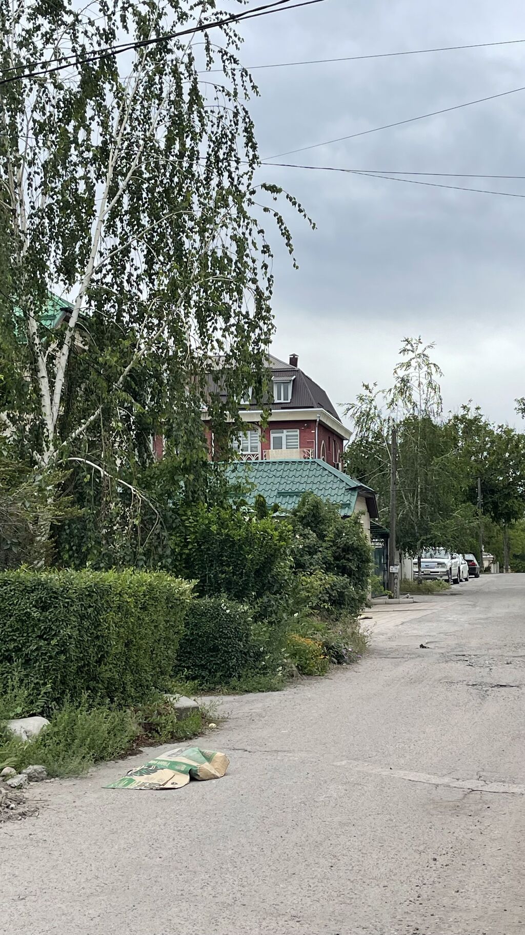 Срочно Продаю дом под бизнес, жилье 10 соток Баялинова-Манаса: фото 1