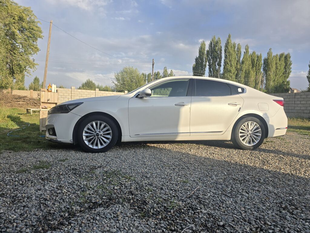 Kia Cadenza: 2019 г., 3 л, Автомат, Газ, Седан: фото 3
