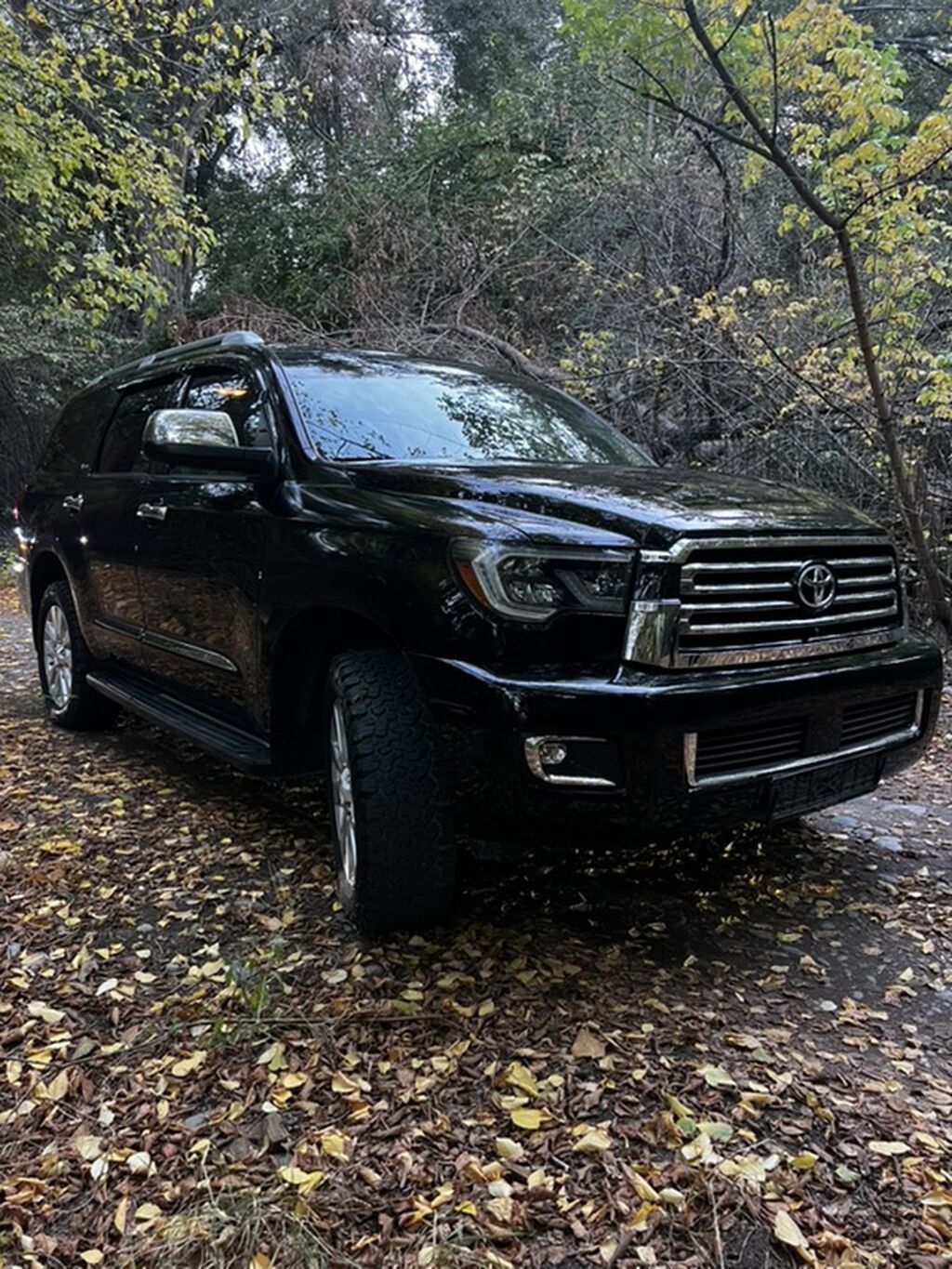 Toyota Sequoia: 2018 г., 5.7 л, Автомат, Газ, Внедорожник: фото 4