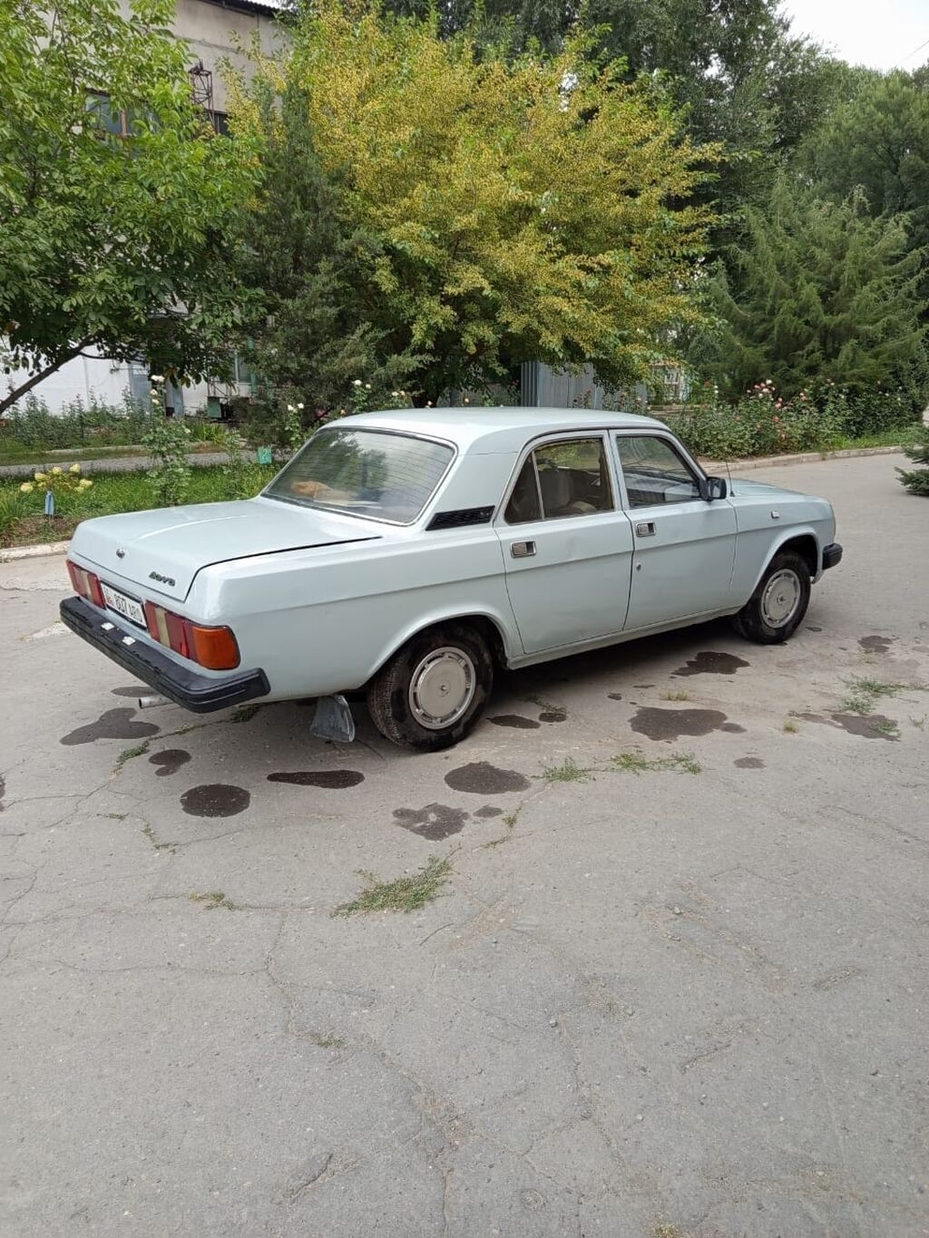 ГАЗ 31029 Volga: 1996 г., 2.4 л, Механика, Бензин, Седан: фото 2