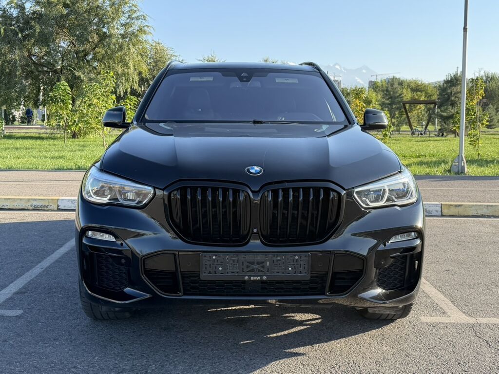 BMW X5: 2019 г., 3 л, Автомат, Бензин, Кроссовер: фото 3