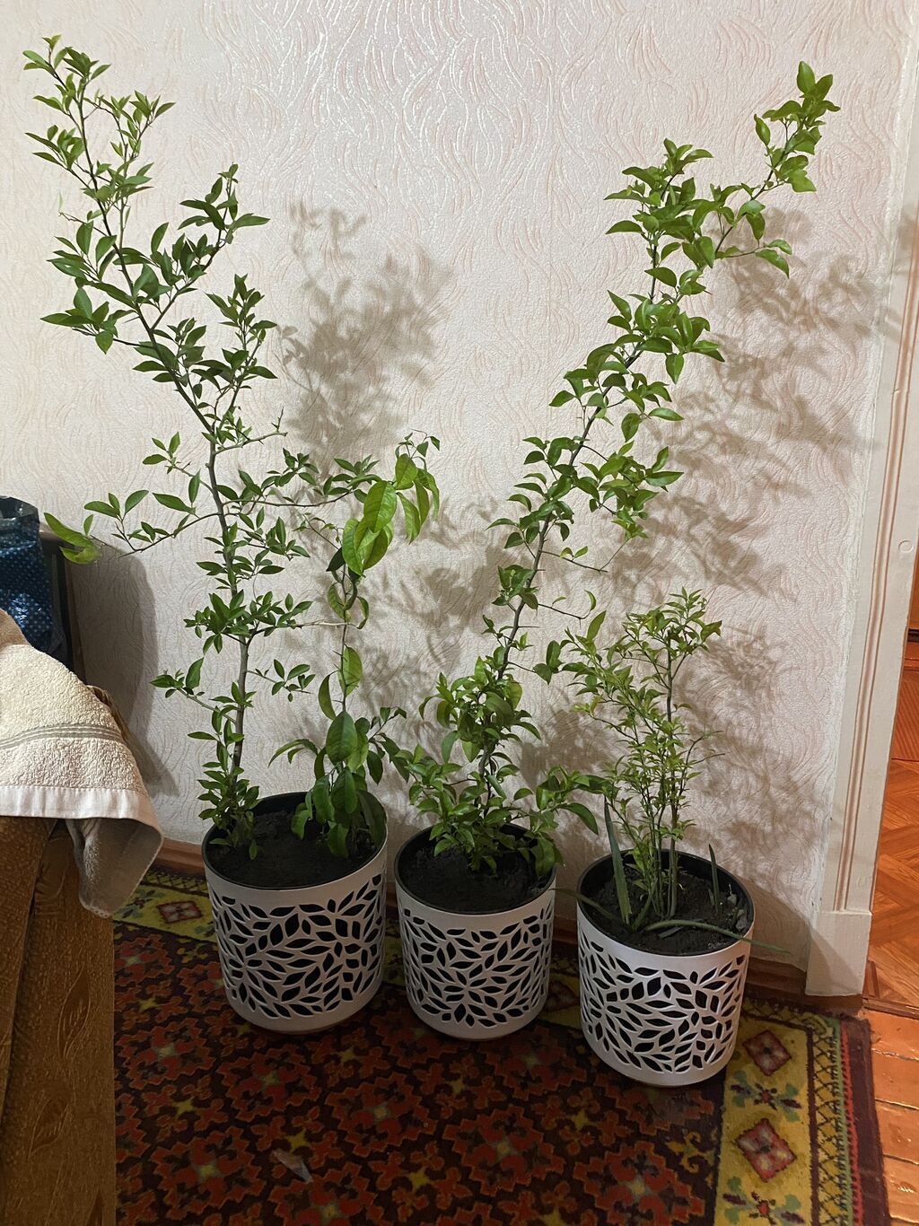 2 комнаты, Собственник, Без животных, от 1 месяца, С мебелью полностью