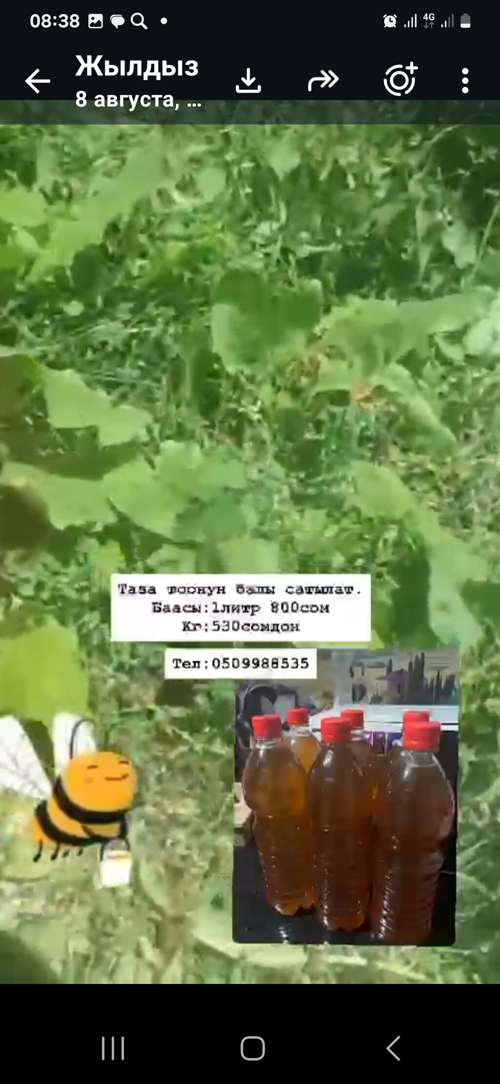 Продам натуральный горный мёд: фото 3
