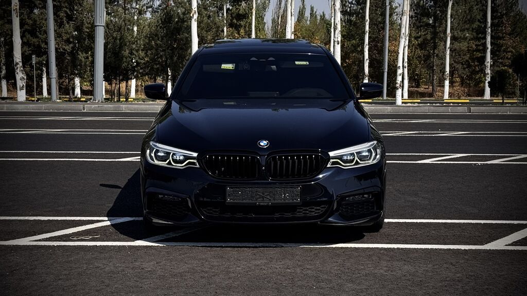 BMW 5 series: 2019 г., 2 л, Автомат, Бензин, Седан: фото 2