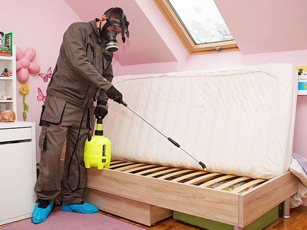 ИП «Дезинсектор» Уничтожение постельных клопов, блох,: Договорная ᐈ ...