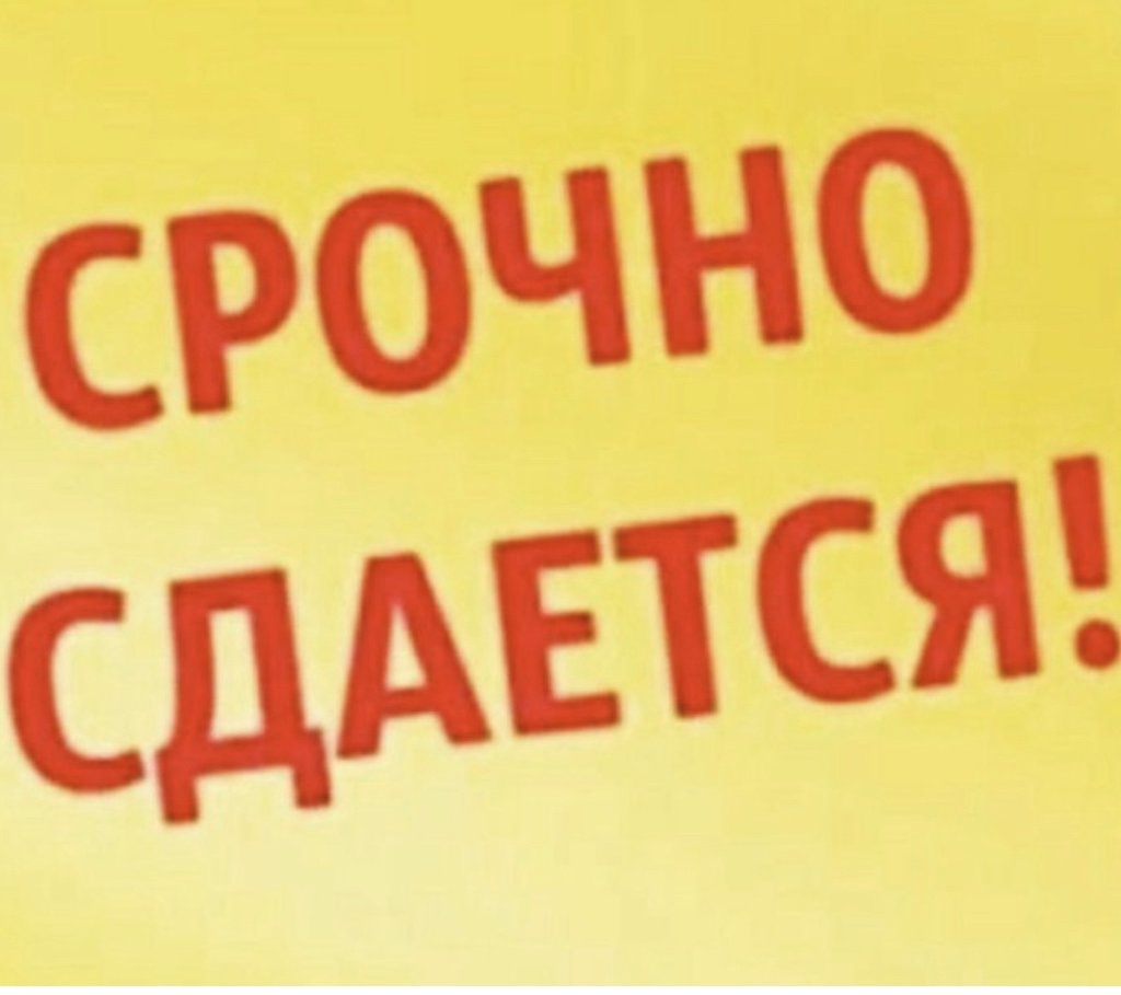 Срочно сдать. Надпись сдается комната. Сдам комнату картинка. Сдается комната картинка. Сдаюсь картинки.